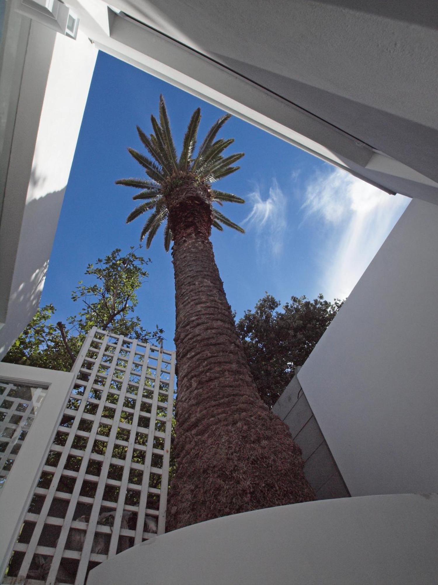 Bella Ev Guest House Muizenberg Dış mekan fotoğraf